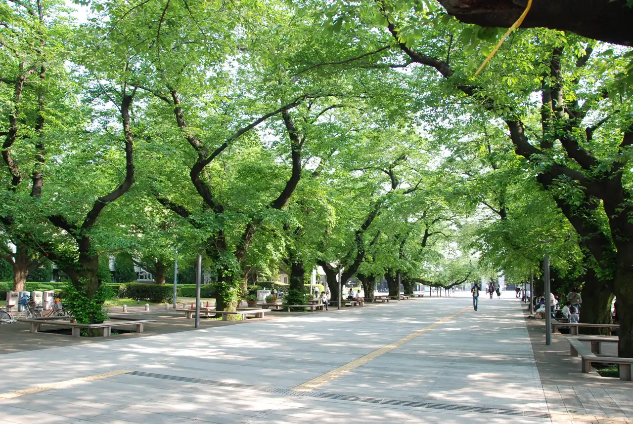 Presentation at IPSJ SIGQS17