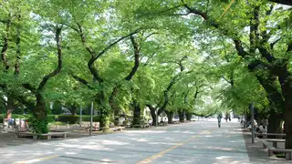 Presentation at IPSJ SIGQS17