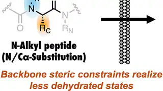 Paper Co-authored by Our Researcher Masatake Sugita Published in Angewandte Chemie International Edition