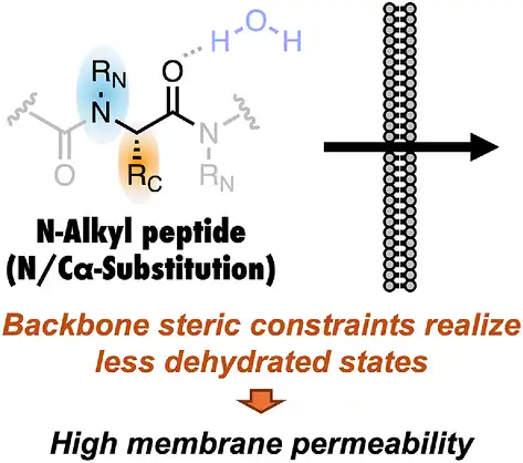 Paper Co-authored by Our Researcher Masatake Sugita Published in Angewandte Chemie International Edition