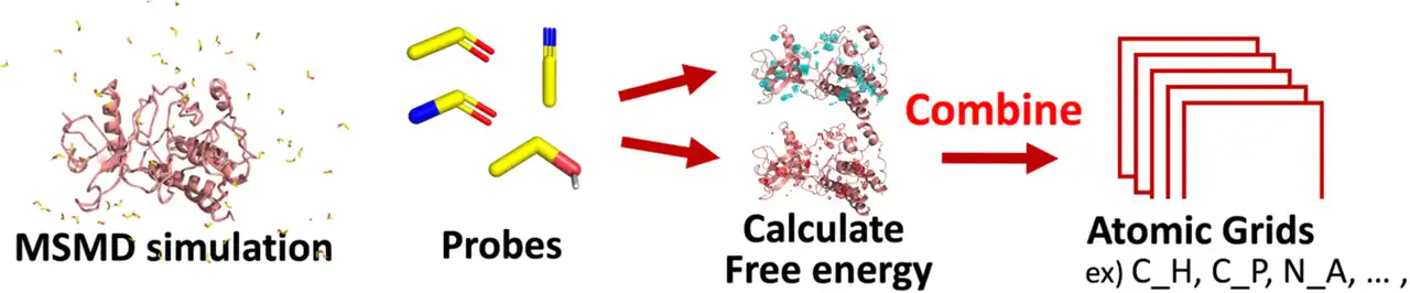 Paper on Improving Docking Scoring with Probe-Atom Distributions from Mixed-Solvent MD Published in J. Chem. Inf. Model.