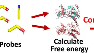 Paper on Improving Docking Scoring with Probe-Atom Distributions from Mixed-Solvent MD Published in J. Chem. Inf. Model.