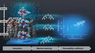 環状ペプチドの膜透過性予測に関する論文が ACS Omega に掲載されました
