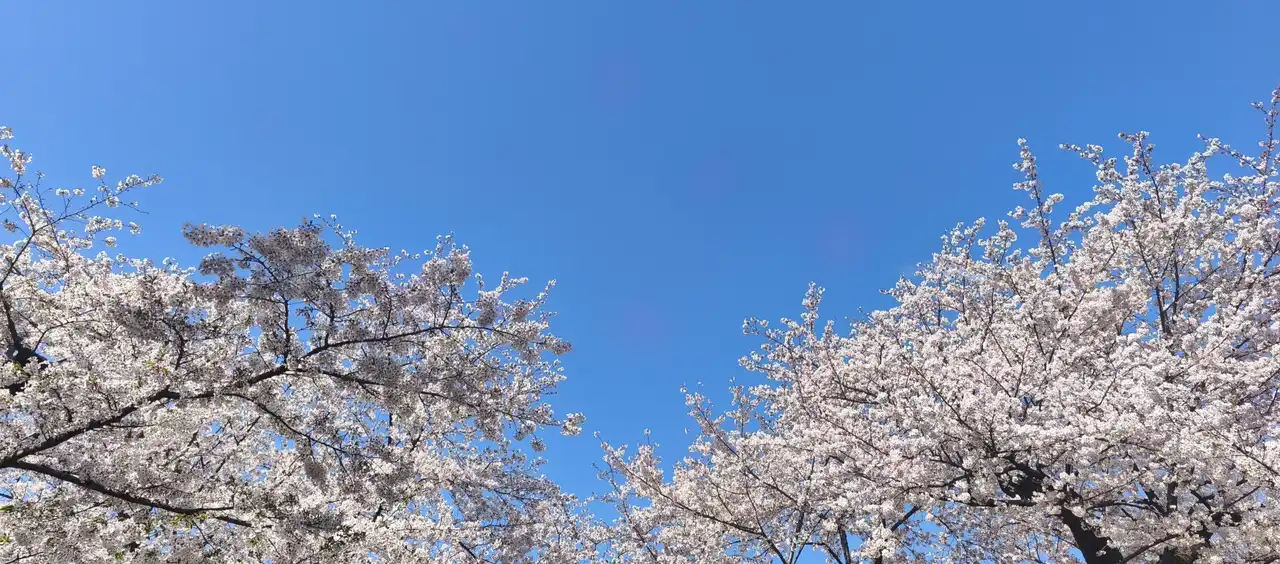 新しいB4学生2名が研究室に配属されました