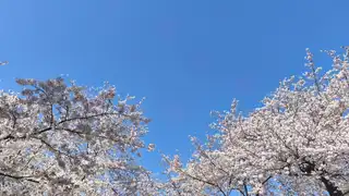 新しいB4学生2名が研究室に配属されました