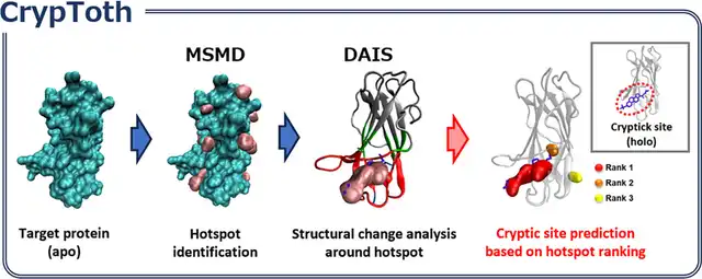 Cryptic site prediction